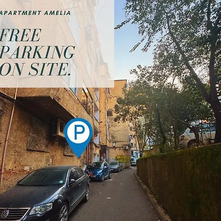 Amelia Comfort Tiran