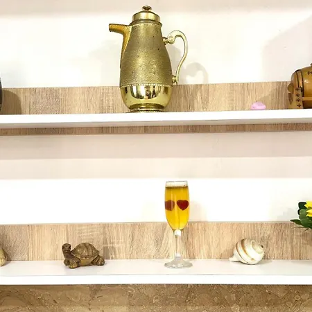 Amelia Comfort * Tirana