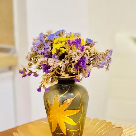 Amelia Comfort Tiran