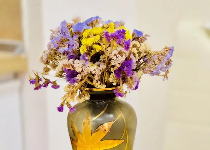 Amelia Comfort Tiran